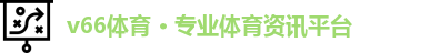 v66体育